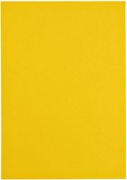 Kopieerpapier Papicolor A4 100gr dottergeel 12 Vel-3