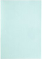 Kopieerpapier Papicolor A4 100gr zeegroen 12 Vel-3