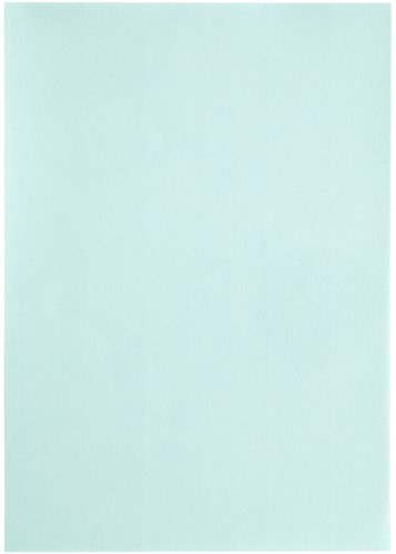 Kopieerpapier Papicolor A4 100gr zeegroen 12 Vel-3