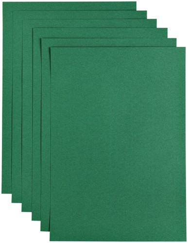 Kopieerpapier Papicolor A4 200gr 6 vel dennengroen