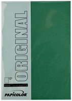 Kopieerpapier Papicolor A4 200gr 6 vel dennengroen-2