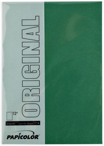 Kopieerpapier Papicolor A4 200gr dennengroen 6 Vel-2