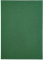 Kopieerpapier Papicolor A4 100gr dennengroen 12 Vel-3