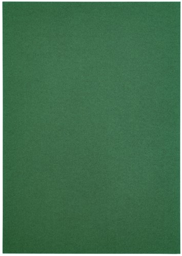 Kopieerpapier Papicolor A4 100gr dennengroen 12 Vel-3