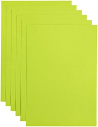 Kopieerpapier Papicolor A4 200gr appelgroen 6 Vel