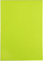 Kopieerpapier Papicolor A4 100gr appelgroen 12 Vel-3