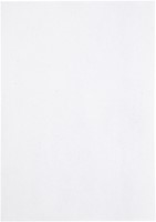 Kopieerpapier Papicolor A4 220gr kraft wit 6 Vel-3