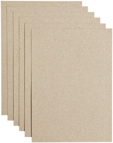 Kopieerpapier Papicolor A4 220gr kraft grijs 6 Vel