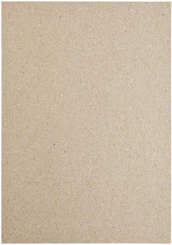 Kopieerpapier Papicolor A4 100gr kraft grijs 12 Vel-3