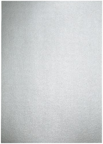 Kopieerpapier Papicolor A4 120gr zilver 6 Vel-3
