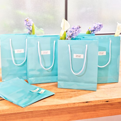 Labeltape Dymo LabelManager D1 19mm wit 10st 10 Stuk-10