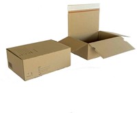 Postpakketbox IEZZY 4 305x215x110mm wit 1 Stuk-2