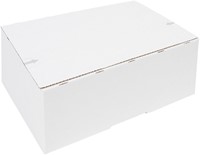 Postpakketbox IEZZY 4 305x215x110mm wit 1 Stuk