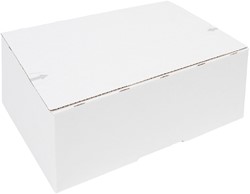 Postpakketbox IEZZY 4 305x215x110mm wit 1 Stuk