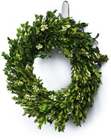 Haak Command middel ovaal incl strip 2st 1 Stuk-2