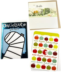 Navulset Paperclip wenskaart beterschap 12 kaarten 12 Stuk