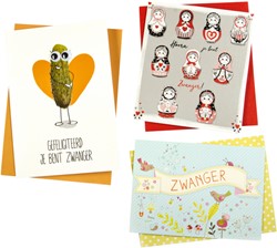 Wenskaart Paperclip navulset zwanger 6 kaarten 6 Stuk