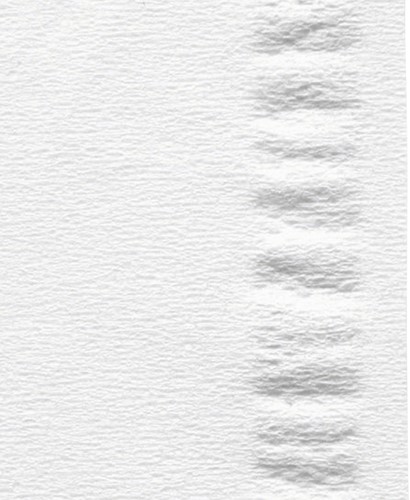 Facial tissues Satino 2laags 100 vel wit 100 Vel-3