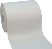 Handdoekrol Katrin systeemrol medium 2laags 160m 6 Rol-2