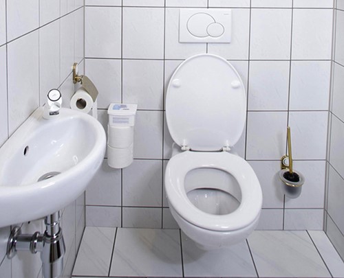 Sanitairreiniger HG Alledag spray 500ml 1 Fles-3