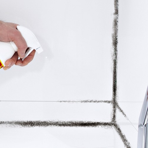 Schimmelreiniger HG schuimspray 500ml 1 Fles-2