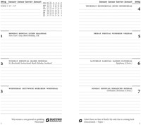 Organizer Succes Cadiz incl Std inhoud 2026 bruin 1 Stuk-2