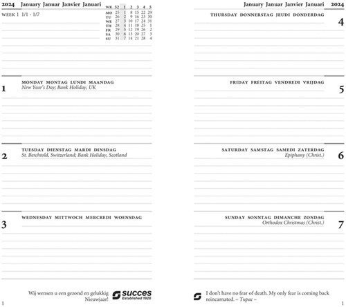 Organizer Succes Cadiz incl Std inhoud 2026 bruin 1 Stuk-2