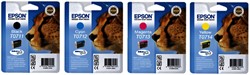 Epson supplies