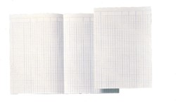 Accountantspapier Djois Atl A4 14 kolom 100 Vel