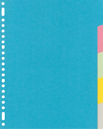 Tabblad Kangaro RY405M A4 23r karton 5dlg ass 1 Set