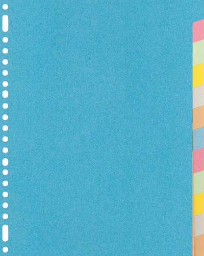 Tabblad Kangaro 23r RY412M 12 delig assorti karton 1 Set