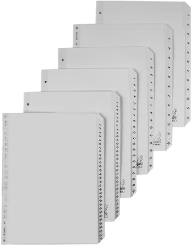 Tabblad Kangaro 4r G420C 1 20 genummerd grijs PP 1 Set-2