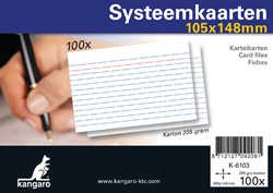 Systeemkaarten A6 105x148mm 100 stuks 100 Stuk