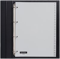 Tabblad Quantore 4rings pp 1-31 grijs 1 Set