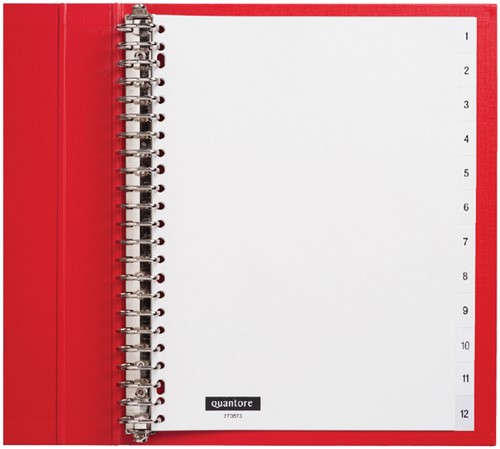 Tabblad Quantore 23rings pp 1-12 wt 1 Set