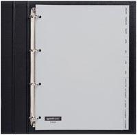 Tabblad Quantore A4 4rings pp Jan-dec grijs 1 Set