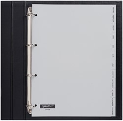Tabblad Quantore A4 4rings pp Jan-dec grijs 1 Set