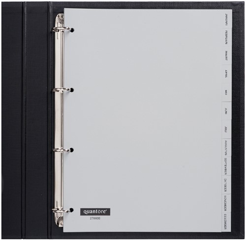 Tabblad Quantore A4 4rings pp Jan-dec grijs 1 Set