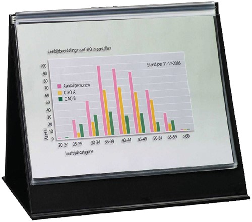 Tafelflipover Rillstab A4 dwars 20 tassen 1 Stuk-2