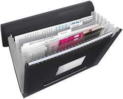 Projectmap Esselte Vivida A4 6 vakken PP zwart 1 Stuk