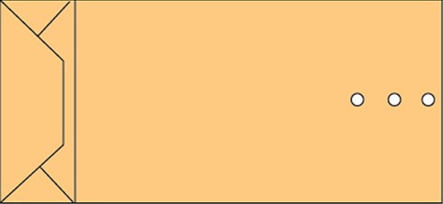 Envelop Quantore monsterzak 100x245x40 120gr br 250 Stuk