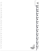 Tabblad Kangaro 23r PK412CM 1 12 genummerd karton 1 Set-3