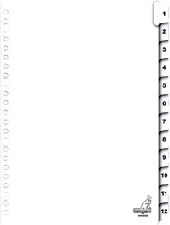 Tabblad Kangaro 23r PK412CM 1 12 genummerd karton 1 Set