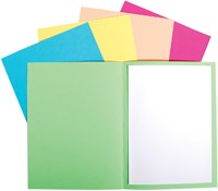 Vouwmap Exacompta Forever A4 170gr grijs 100 Stuk-2