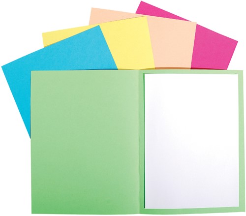 Vouwmap Exacompta Forever A4 170gr grijs 100 Stuk-2