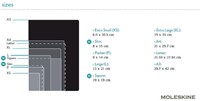 NOTITIEBOEK MOLESKINE LIJN LARGE 1 STUK-1