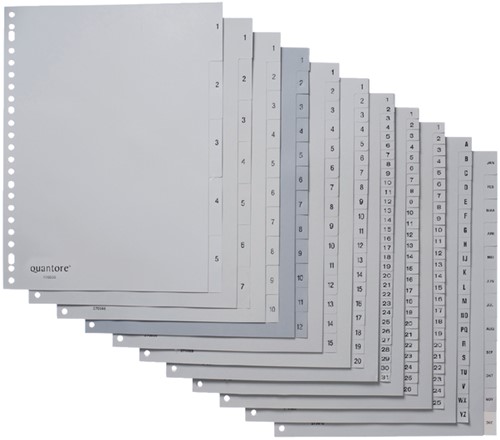 Tabblad Quantore A4 23rings pp 1-52 grijs 1 Set-2