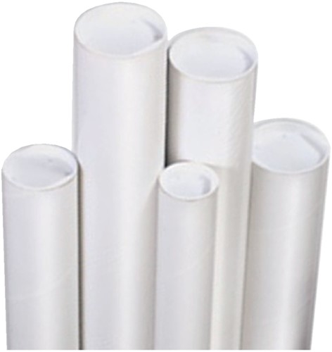 Verzendkoker CleverPack A1+doppen 650x50x1.5 wt 20 Stuk-3