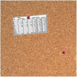 Kurkbord Desq 35x35cm randloos + push pins 1 Stuk