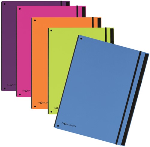 Sorteermap Pagna trend 12tab A4 donkerroze 1 Stuk-2